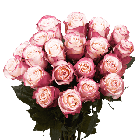 Bicolor Pink & Yellow Rose Lily Bouquet Fresh Flower Arrangement