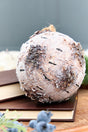 7" Foam Birch Ball Ornament