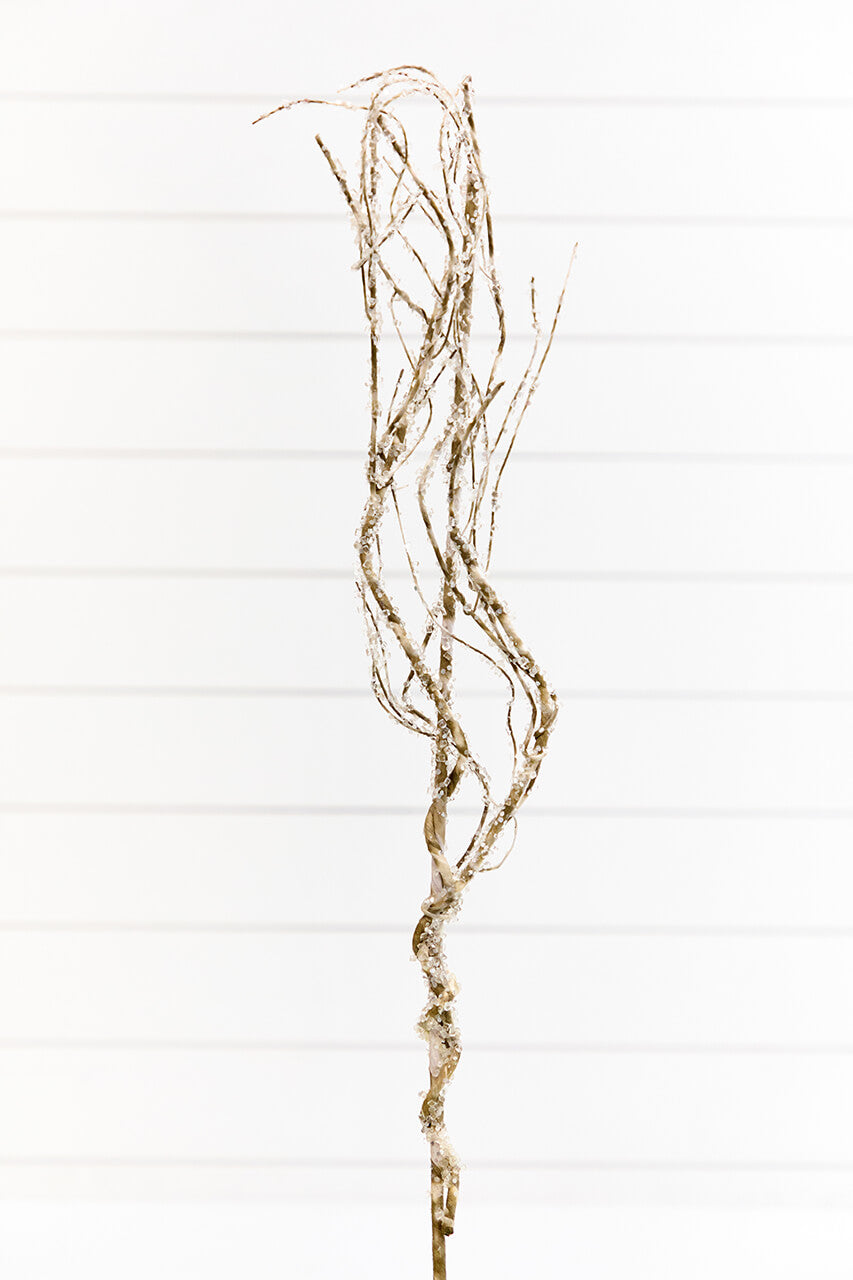 34" Frosted Beaded Twig Spray