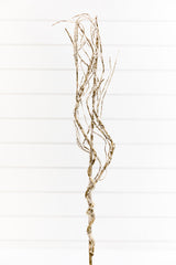 34" Frosted Beaded Twig Spray