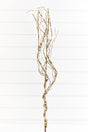 34" Frosted Beaded Twig Spray