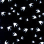 Swim Knit Nylon Lycra Flights of Fancy Black Birds