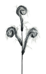 30” Furry Spiral Curly Spray - Black/White