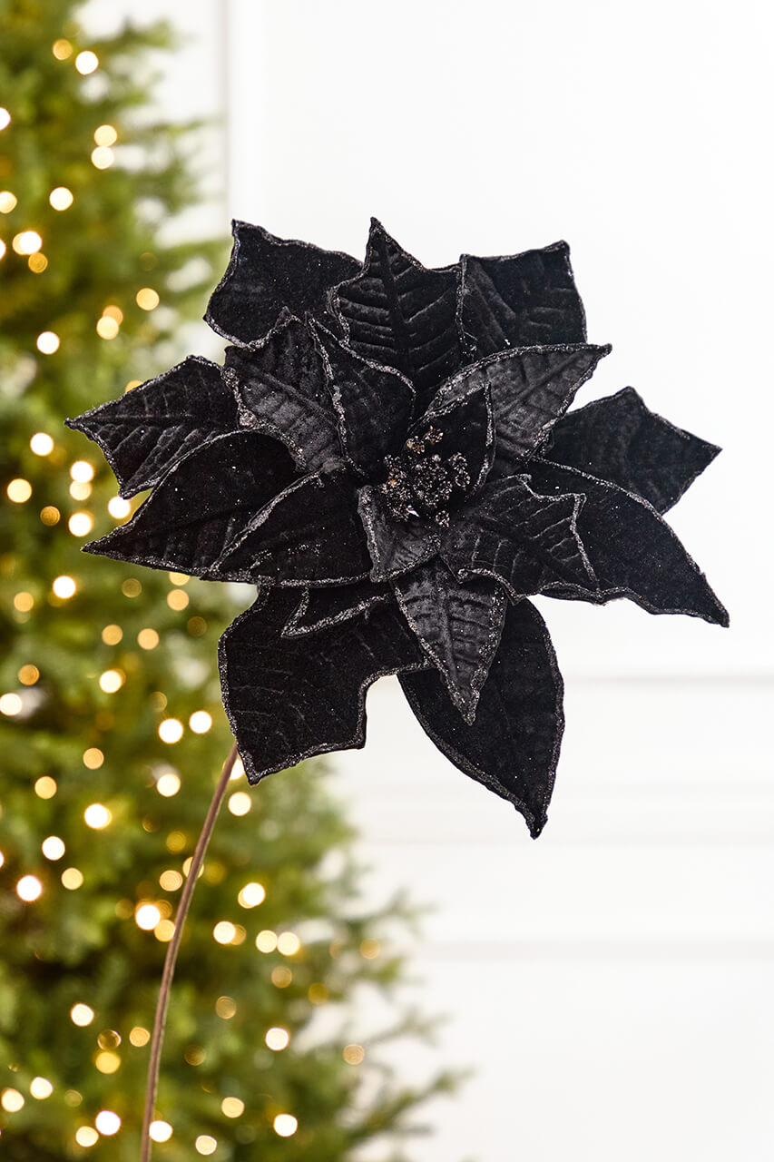 19" x 14" Black Velvet Poinsettia Stem