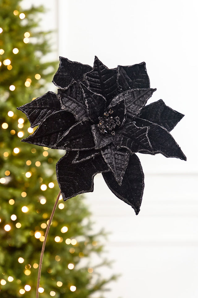 19" x 14" Black Velvet Poinsettia Stem