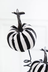 26" Black & White Striped Halloween Pumpkin Spray