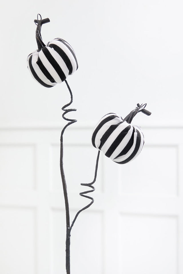 26" Black & White Striped Halloween Pumpkin Spray