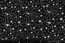 Shooting Star Foil Organza Polyester Fabric - Sheer Silver Metallic Star, 58/60" Width (1 Yard)