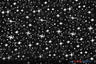 Shooting Star Foil Organza Polyester Fabric - Sheer Silver Metallic Star, 58/60" Width (1 Yard)