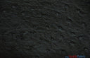 Ostrich Vinyl Faux Leather Vinyl Fabric - Ostrich Texture, 54" Width (1 Yard)
