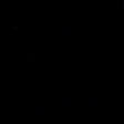 Black Polyester Boardshort Fabric