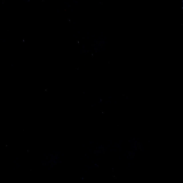 Black Polyester Boardshort Fabric