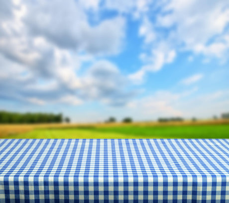Picnic Checkers Polyester Fabric - Gingham Checkered, 1" X 1", 58/60" Width (1 Yard)