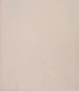 Silk Charmeuse Blush Fabric