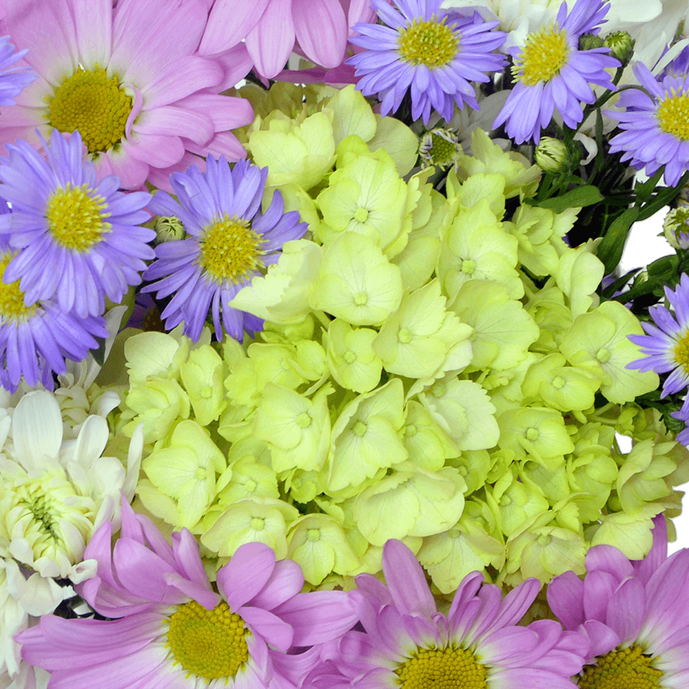 Renewal Easter Arrangement – Fresh Flower Bunches