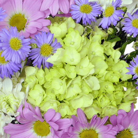 Renewal Easter Arrangement – Fresh Flower Bunches
