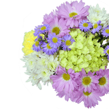 Renewal Easter Arrangement – Fresh Flower Bunches