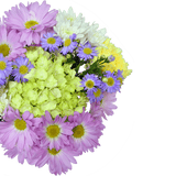 Renewal Easter Arrangement – Fresh Flower Bunches
