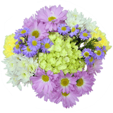 Renewal Easter Arrangement – Fresh Flower Bunches
