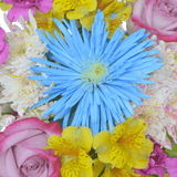 Raising Joy Easter Flower Bouquet Fresh Mixed Floral Arrangement
