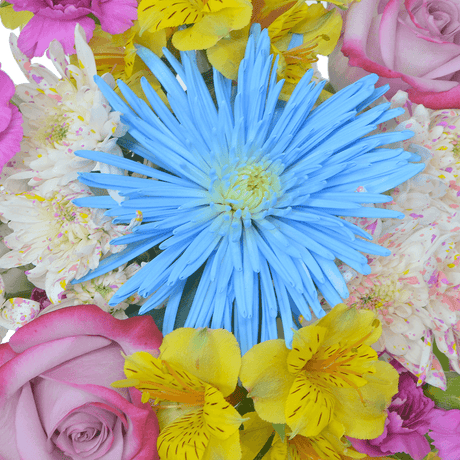 Raising Joy Easter Flower Bouquet Fresh Mixed Floral Arrangement