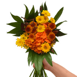 Thanksgiving Fresh Flower Bouquet Festive Floral Arrangement Pack
