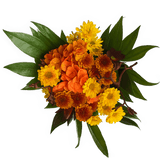 Thanksgiving Fresh Flower Bouquet Festive Floral Arrangement Pack
