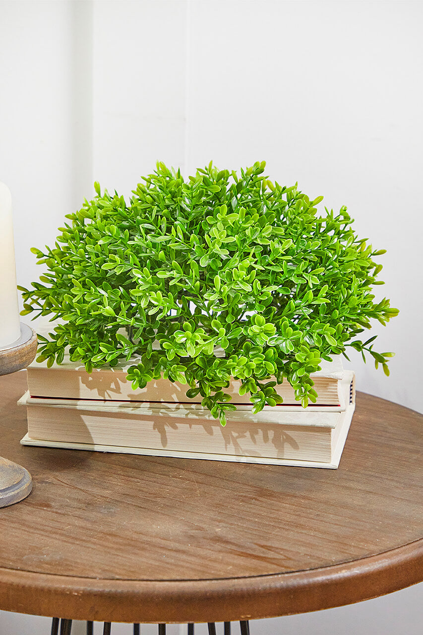 10" Boxwood 1/2 Orb