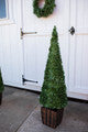Faux Boxwood Trees Set of 2