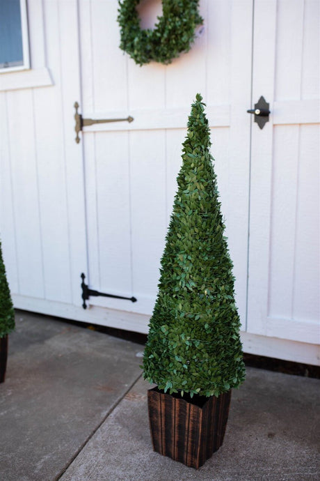 3.5' Faux Boxwood Trees - Set of 2