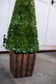 Faux Boxwood Trees Set of 2