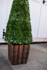 3.5' Faux Boxwood Trees - Set of 2