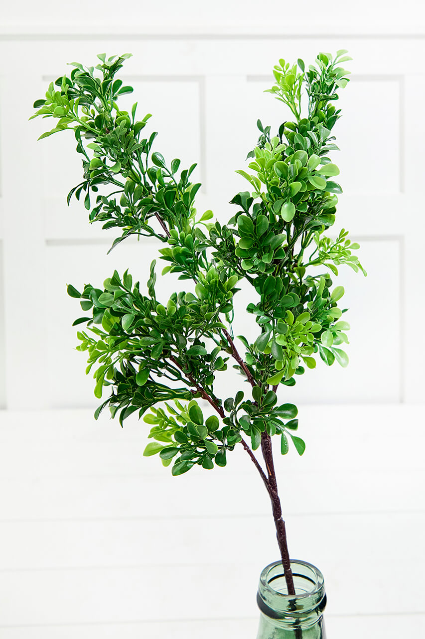 32" Boxwood Spray