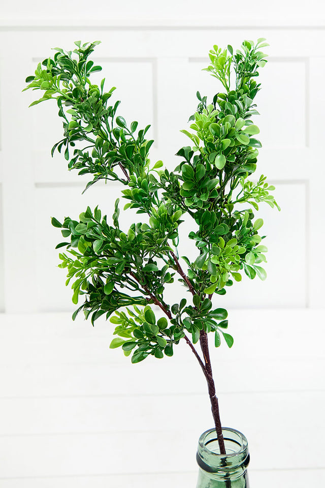 32" Boxwood Spray