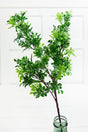 32" Boxwood Spray