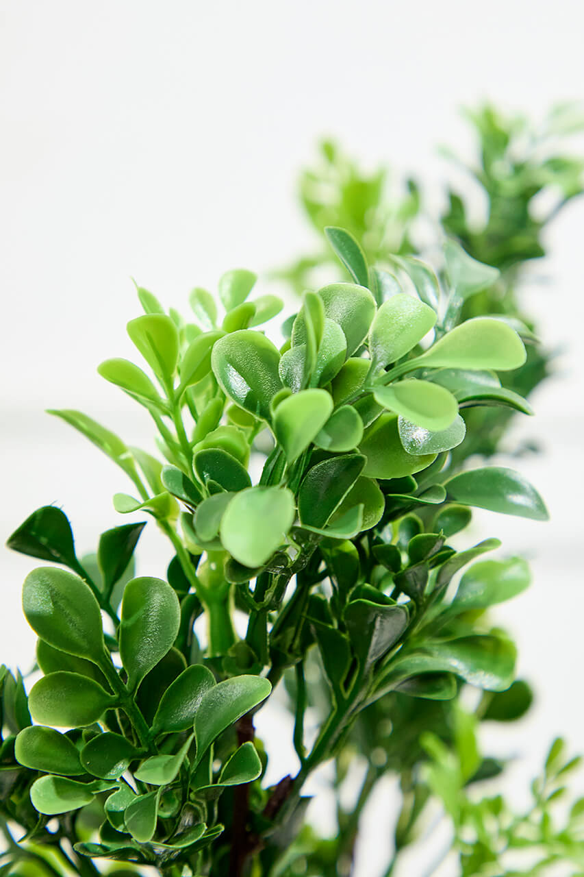 32" Boxwood Spray