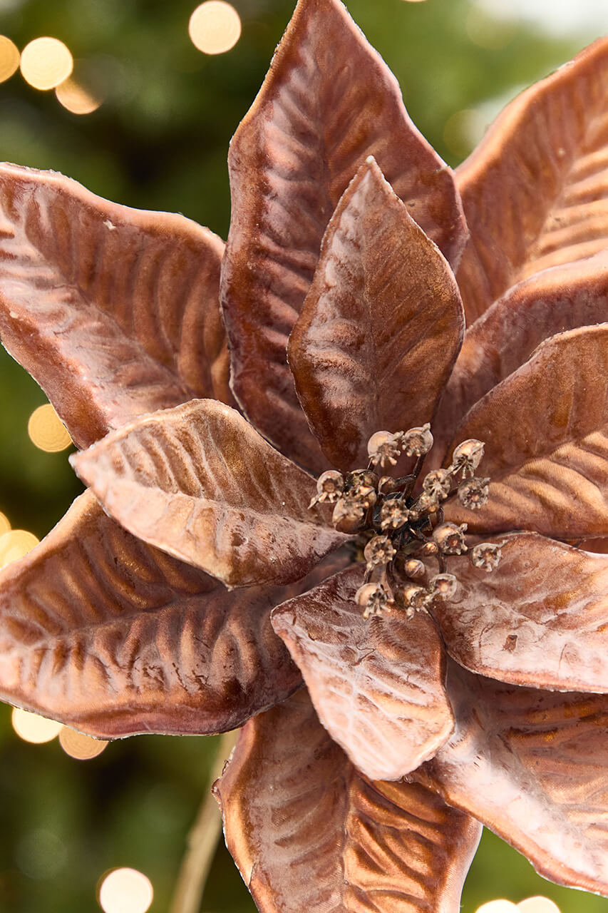 22" x 9" Bronze Poinsettia Stem