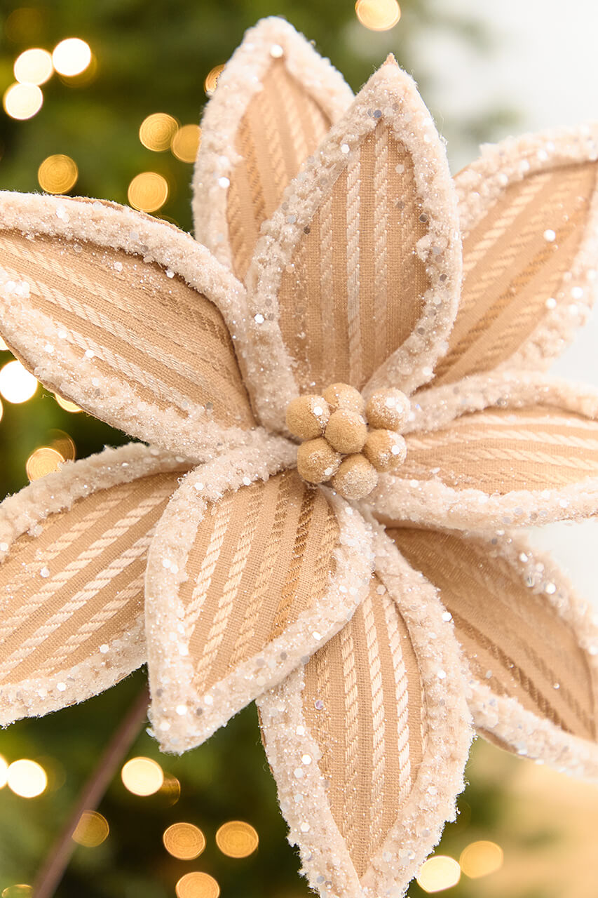 20" x 12.5" Taupe Frosted Poinsettia Stem