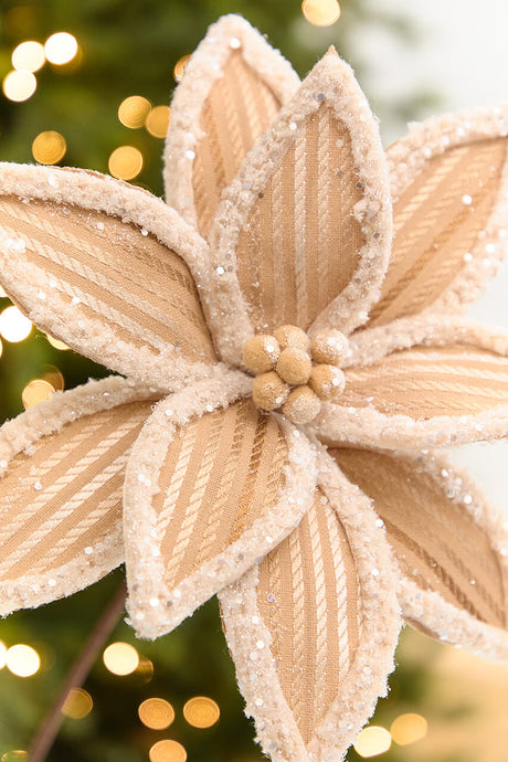 20" x 12.5" Taupe Frosted Poinsettia Stem