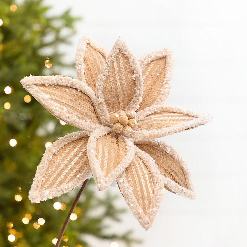 20" x 12.5" Taupe Frosted Poinsettia Stem