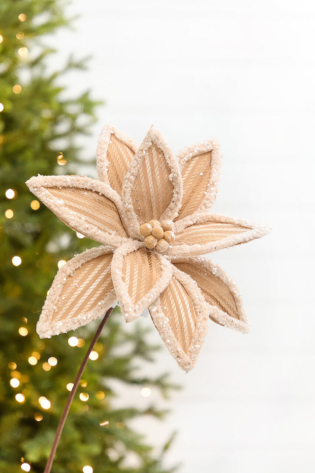 20" x 12.5" Taupe Frosted Poinsettia Stem