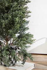 24" Plastic Cedar Tree in Black & White Buffalo Fabric Bucket