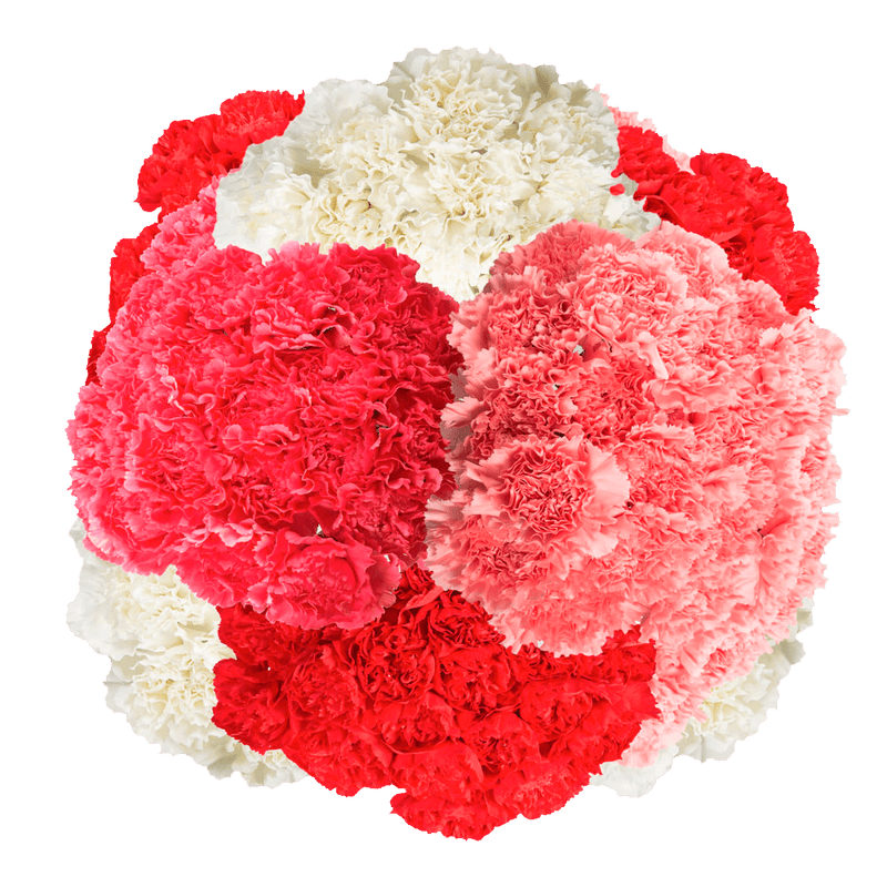 Valentine’s Day Carnation Stems – 400 Fresh Flower Bouquets