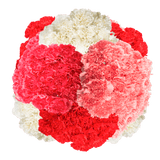 Valentine’s Day Carnation Stems – 400 Fresh Flower Bouquets