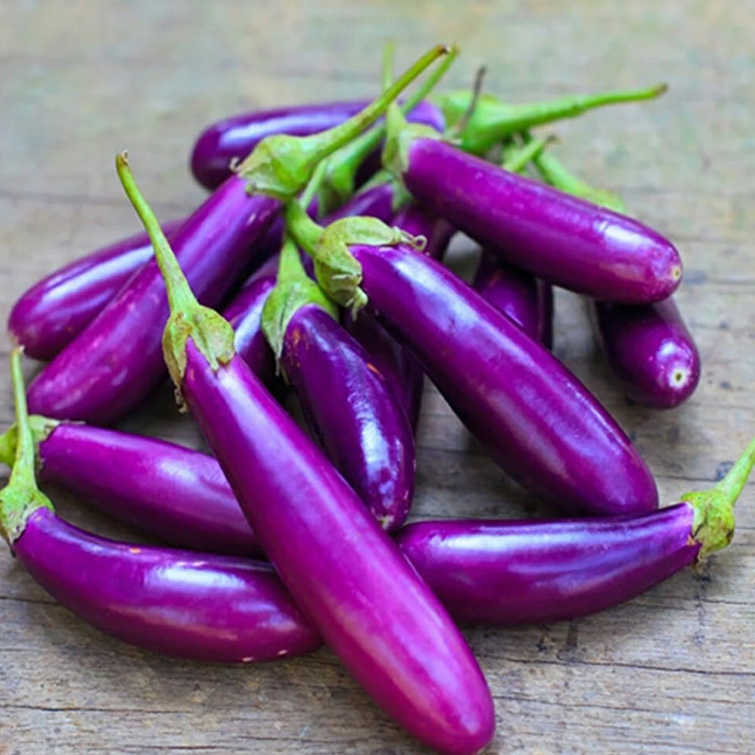 Eggplant Long Purple Seeds 200 Plus Vegetable Garden Heirloom Non GMO USA
