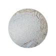 Whole Wheat Flour 1 Pound