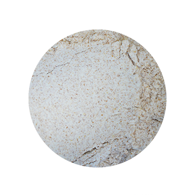 Whole Wheat Flour 1 Pound