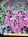 Camo Sequin Stretch Velvet Fabric - Iridescent Sequin Camo Pattern, 54" Width (1 Yard)