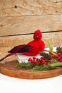 13" Velvet & Feather Cardinal Clip Ornament