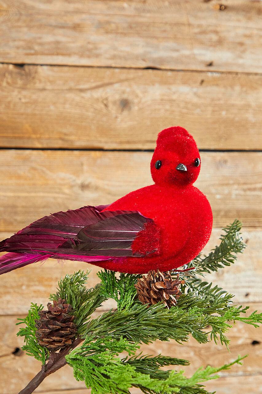 13" Velvet & Feather Cardinal Clip Ornament